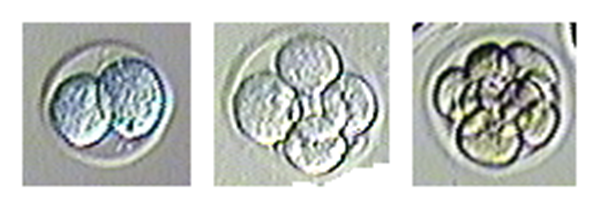 image007_副本.png