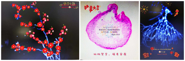 光影魔术手拼图.jpg