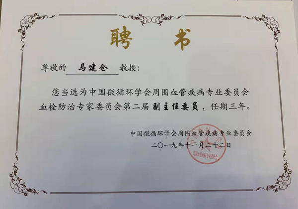 委员证图片.jpg