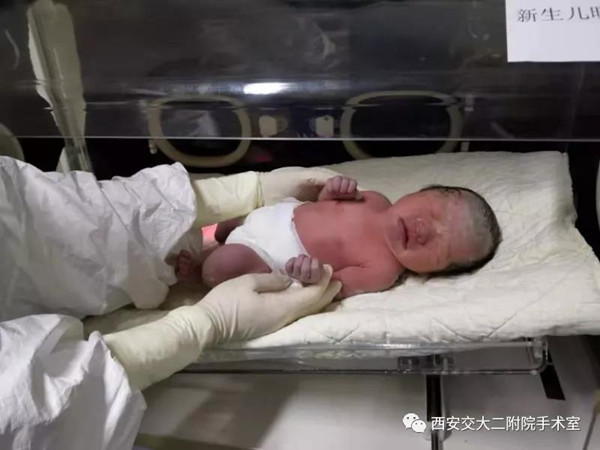 微信图片_20200227130447_副本.jpg