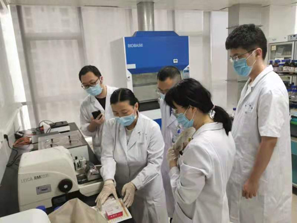 石蜡包埋及切片培训_副本.jpg